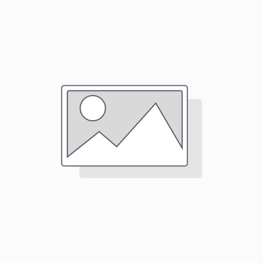 Digital Marketing Campaign (project)